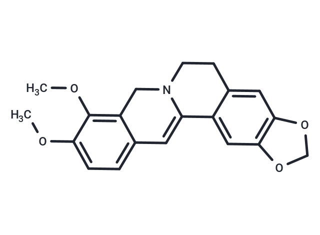 二氢小檗碱,Dihydroberberine