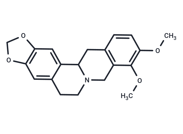四氫小檗堿,Tetrahydroberberine