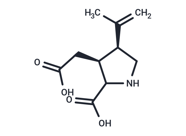 紅藻氨酸,Kainic acid