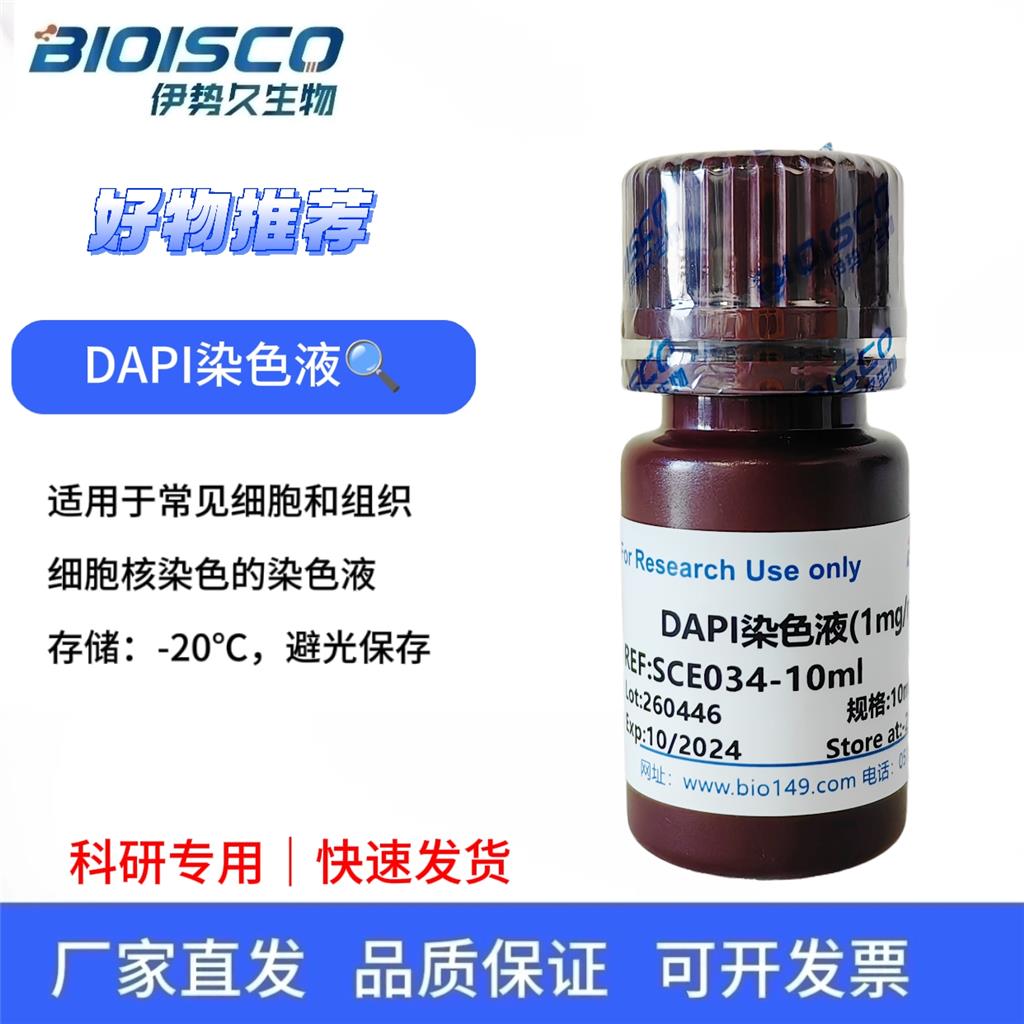 DAPI染色液(1mg/ml),DAPI staining solution (1mg/ml)