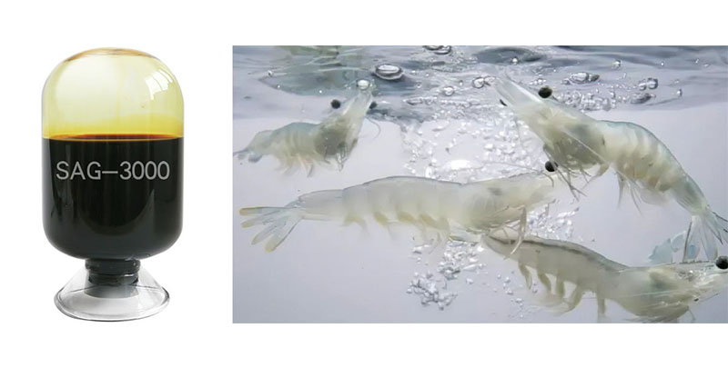 水產(chǎn)養(yǎng)殖專用銀離子溶液,Aquaculture specific silver ion solution