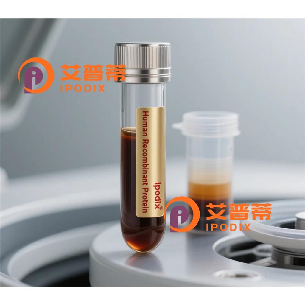 UbiquitinD抗体,Rabbit Monoclonal UbiquitinD Antibody
