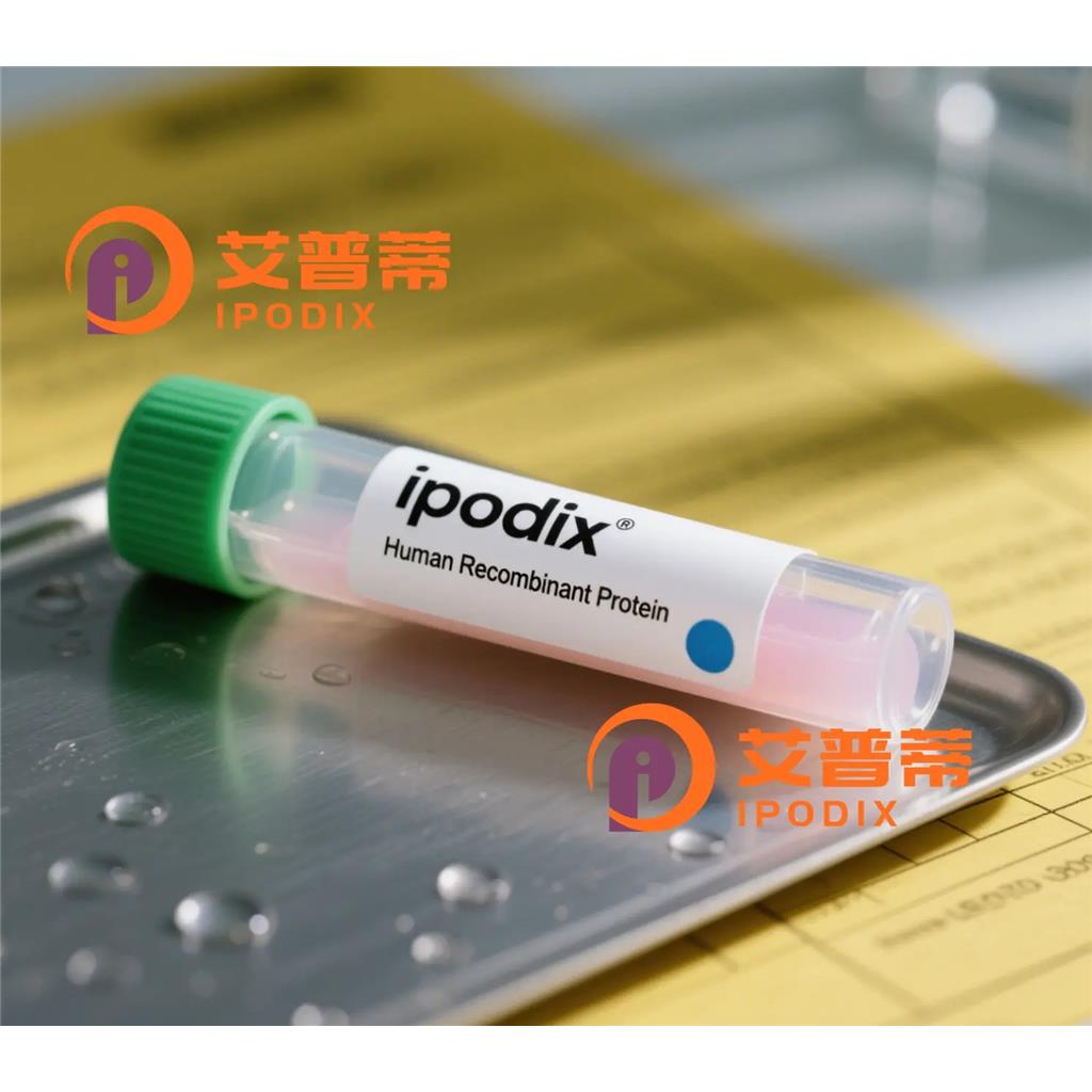 PKA2beta抗体,Rabbit Monoclonal PKA2beta Antibody