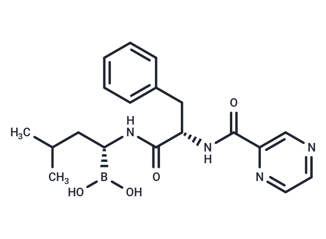 硼替佐米,Bortezomib