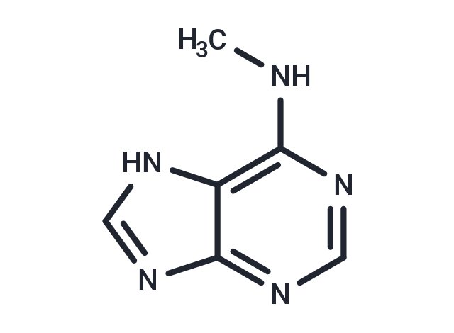 6-(甲氨基)嘌呤,N6-Methyladenine