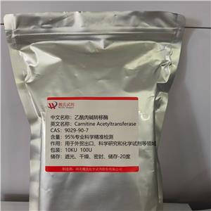 乙酰肉堿轉(zhuǎn)移酶 9029-90-7