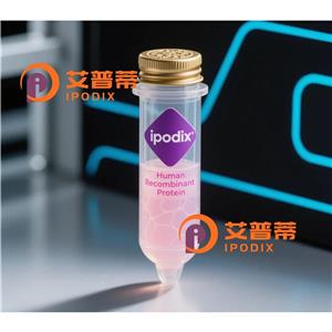 Survivin抗体;Survivin Antibody—艾普蒂