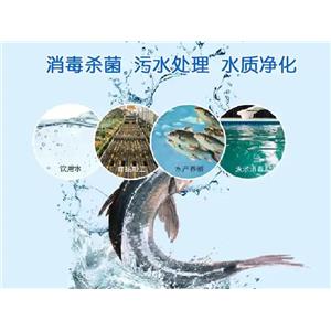 水產(chǎn)養(yǎng)殖專用銀離子溶液,Aquaculture specific silver ion solution