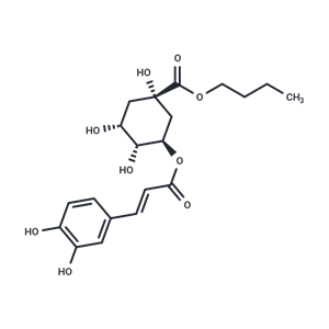 綠原酸丁酯,Butyl chlorogenate