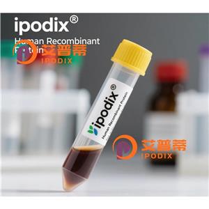 PRMT1抗体;PRMT1 Antibody—艾普蒂