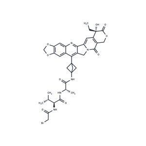 化合物 Br-Val-Ala-NH2-bicyclo[1.1.1]pentane-7-MAD-MDCPT|T74751|TargetMol