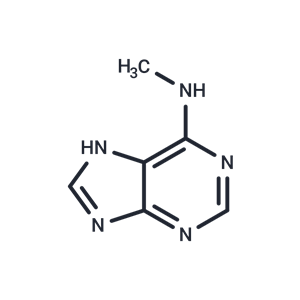 6-(甲氨基)嘌呤,N6-Methyladenine