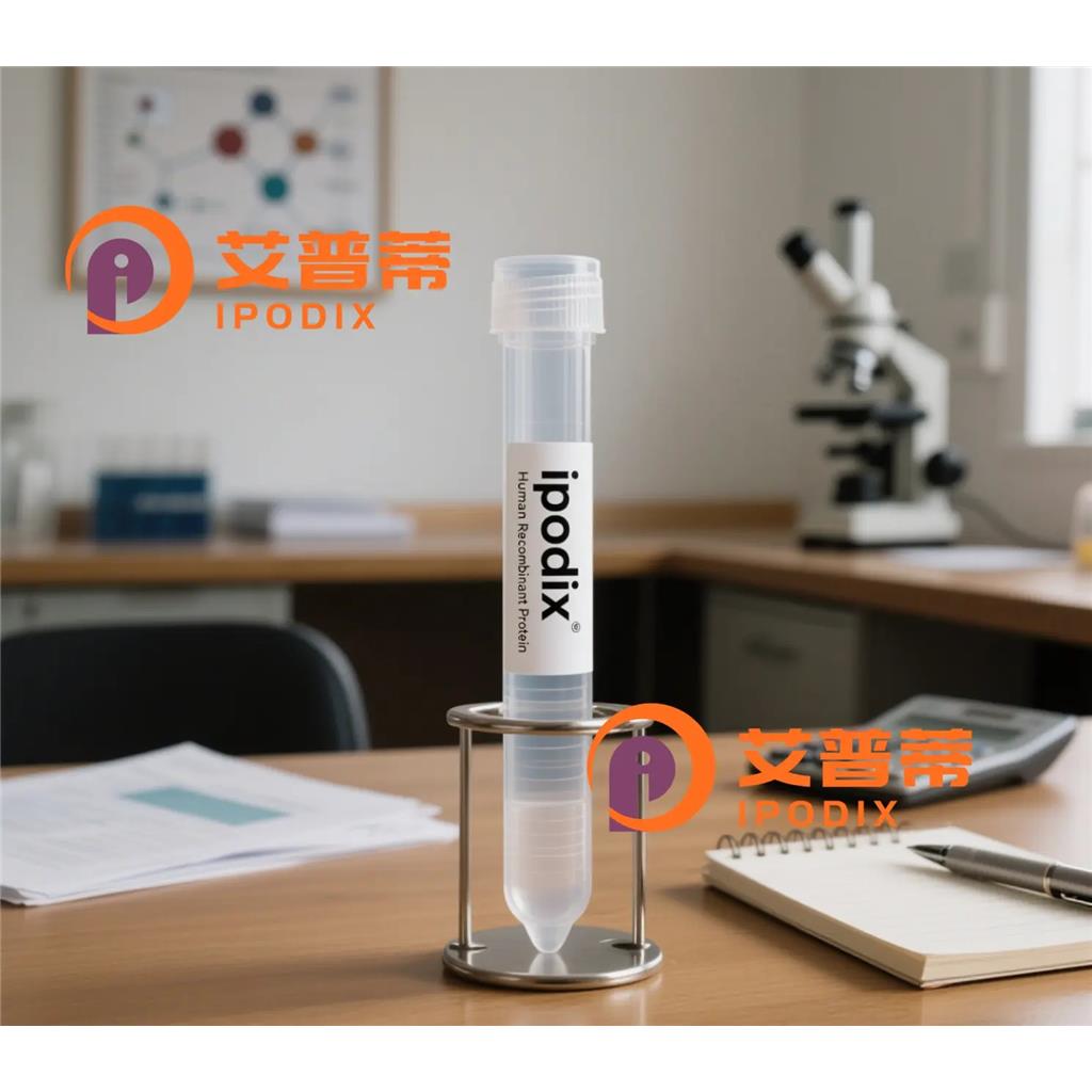 Netrin1抗体,Rabbit Monoclonal Netrin1 Antibody