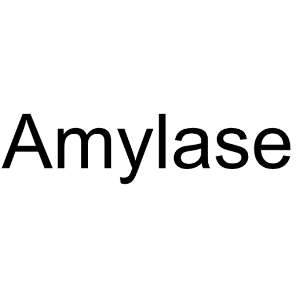 淀粉酶,Amylase
