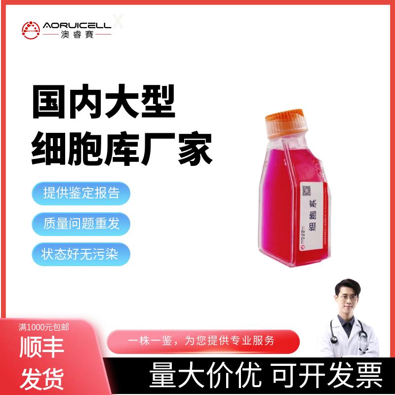 PC-9/GR（人肺癌细胞吉非替尼耐药株）,PC-9/GR