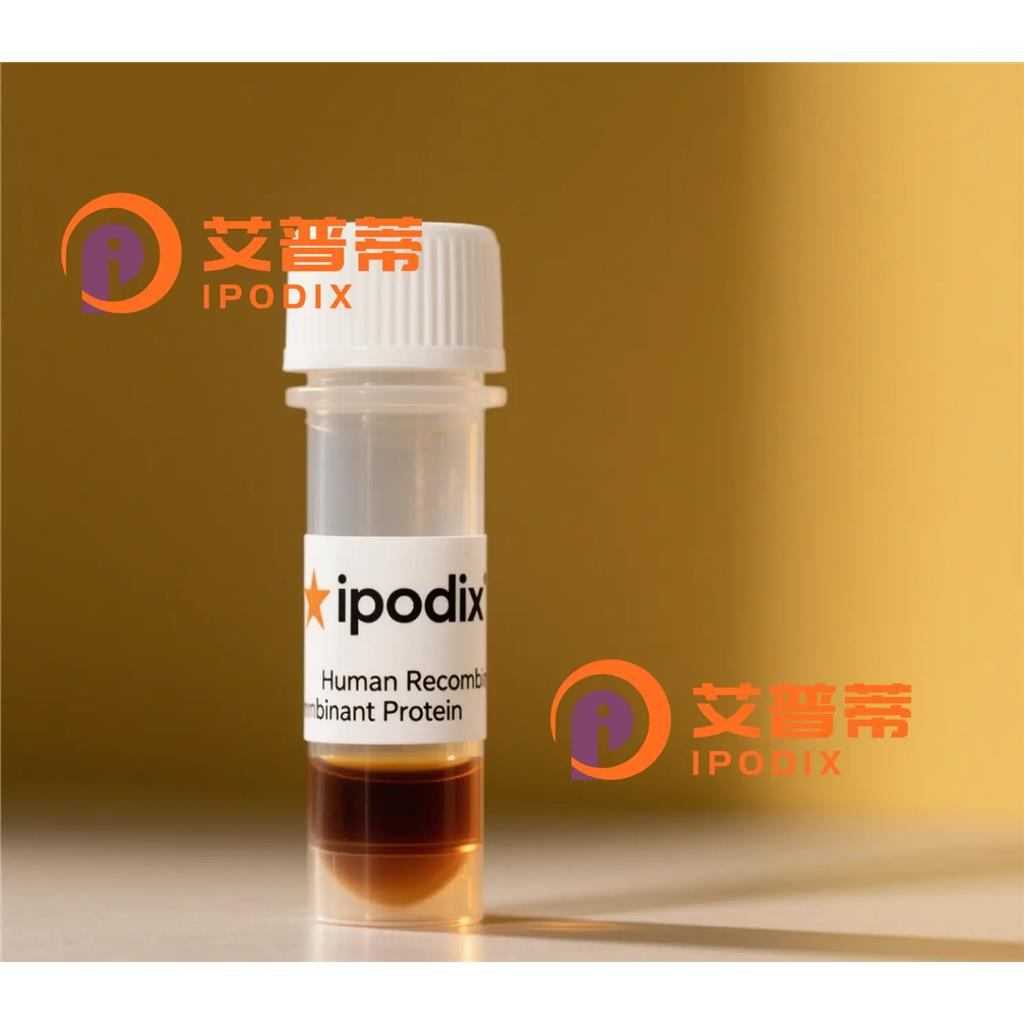 Phospho-RIP3(S232)抗体,Rabbit Monoclonal Phospho-RIP3(S232) Antibody