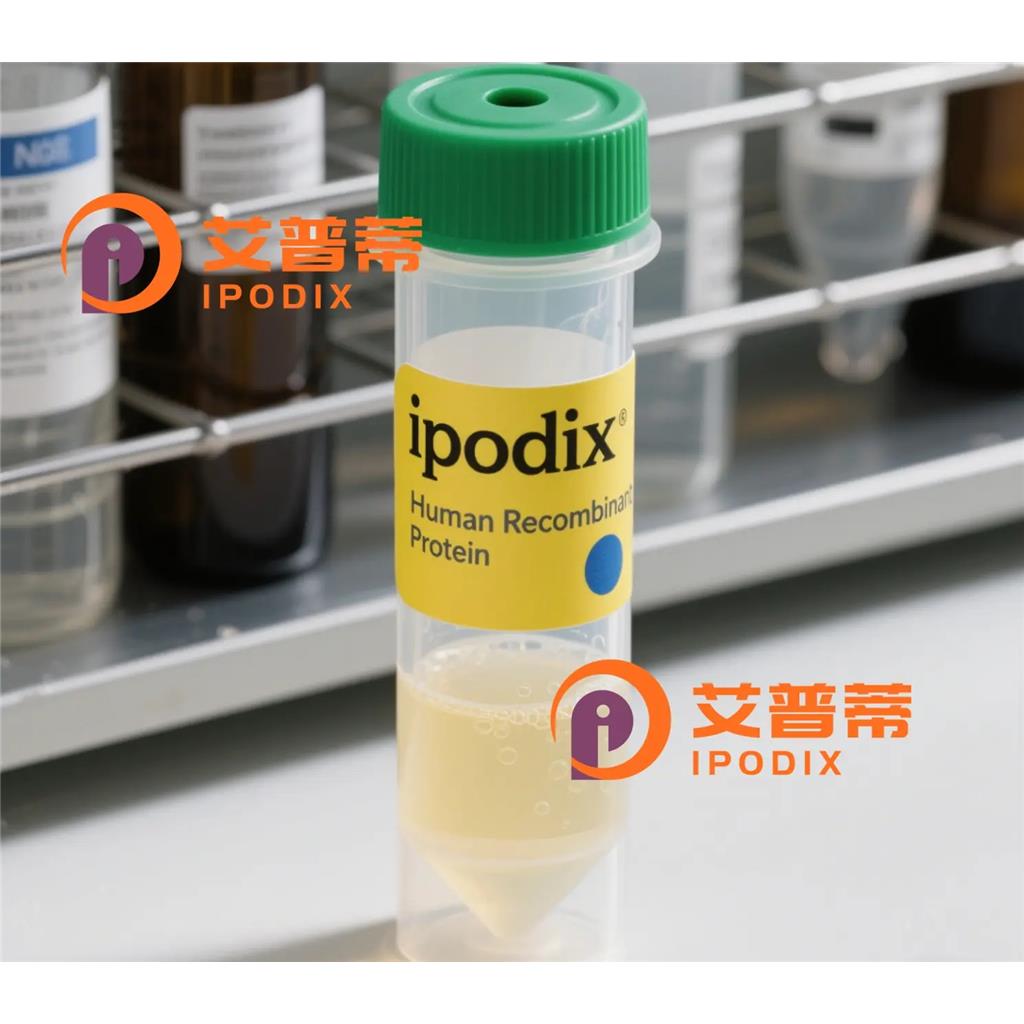 ApolipoproteinF抗体,Rabbit Monoclonal ApolipoproteinF Antibody