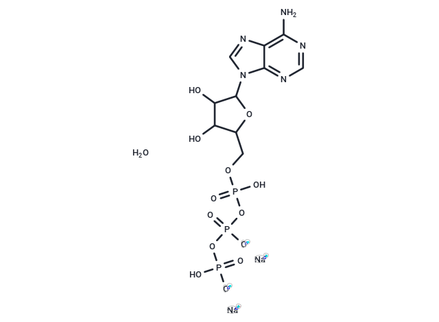 三磷酸腺苷二钠盐,ATP disodium salt hydrate