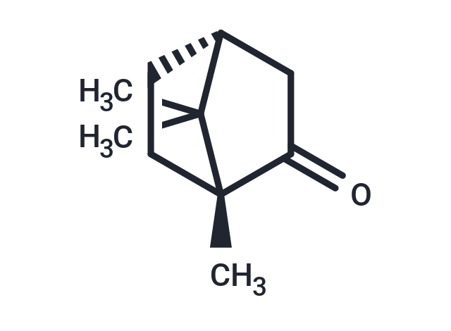 (+)-樟脑,(+)-Camphor
