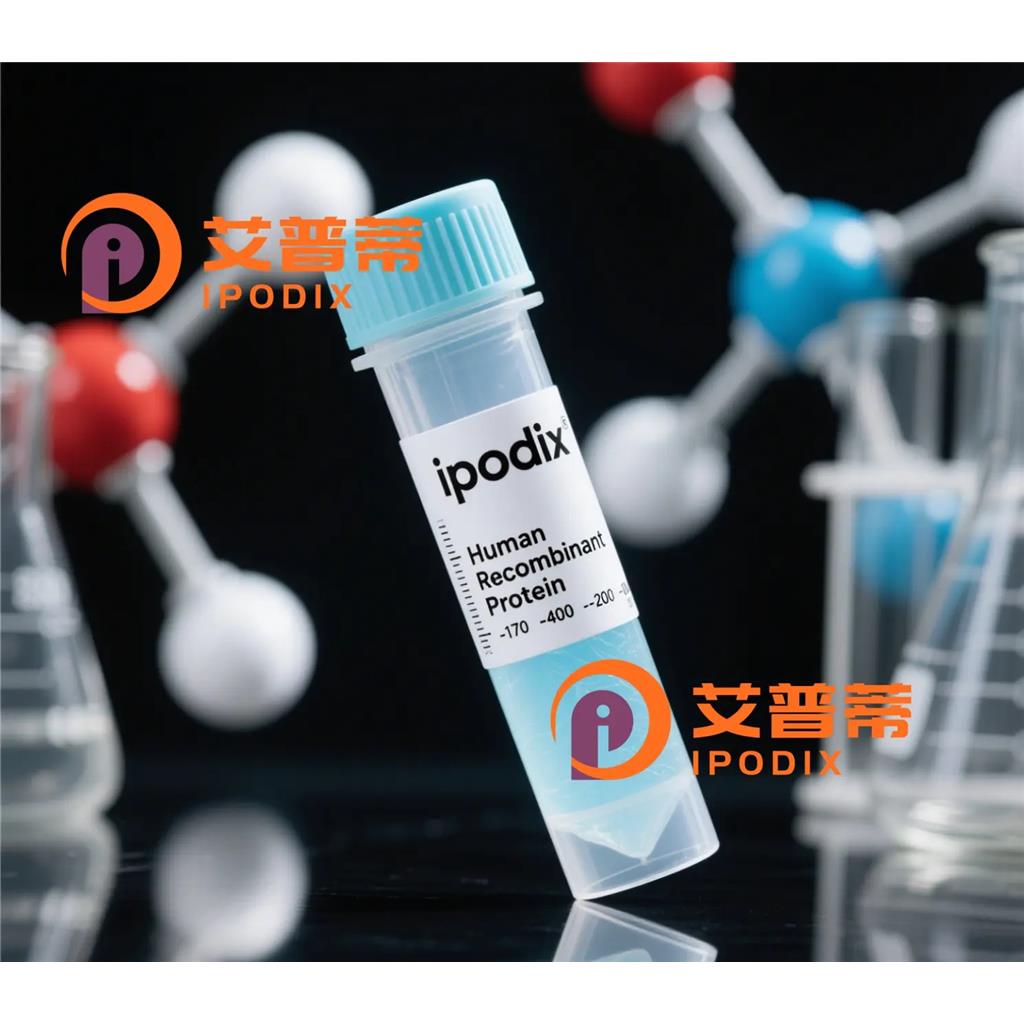 HTSF1抗体,Rabbit Monoclonal HTSF1 Antibody