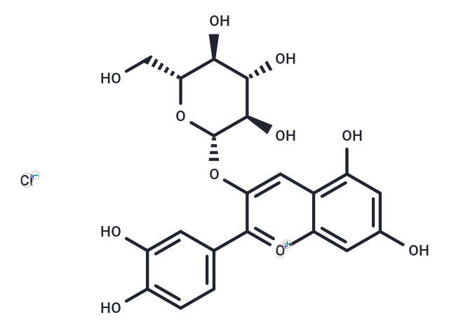 矢車菊素-3-O-葡萄糖苷,Kuromanin chloride