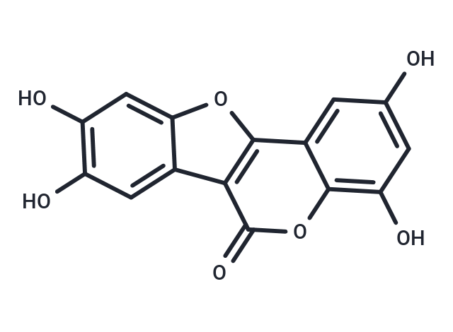 異去甲蟛蜞菊內(nèi)酯,Isodemethylwedelolactone