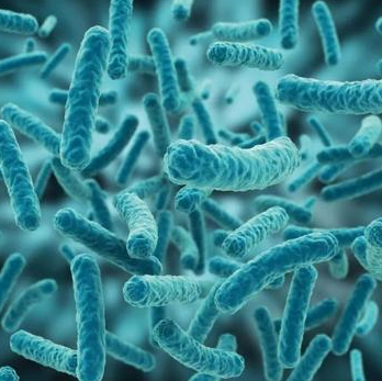 Streptomyces Anulatus,Streptomyces Anulatus