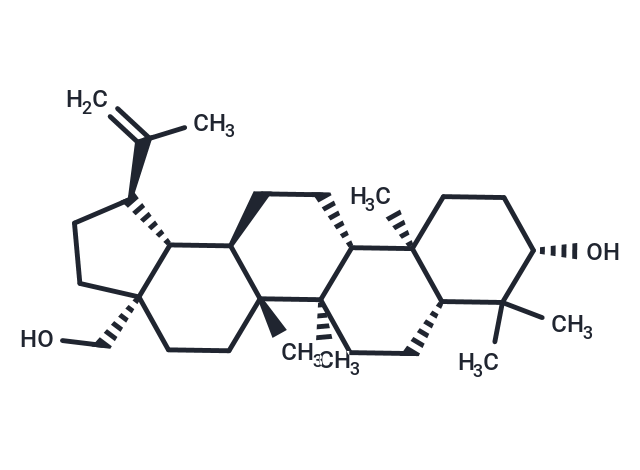 白樺脂醇,Betulin