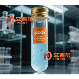 MTH1抗体;MTH1 Antibody—艾普蒂