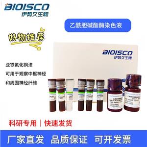 乙酰膽堿酯酶染色液(亞鐵氰化銅法)