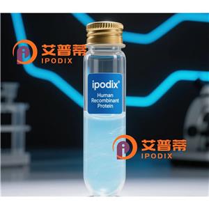 TFE3抗体,Rabbit Monoclonal TFE3 Antibody