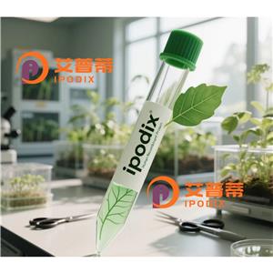 CRX抗體,Rabbit Monoclonal CRX Antibody