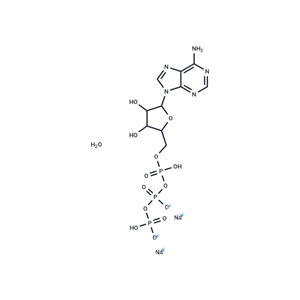 三磷酸腺苷二钠盐,ATP disodium salt hydrate