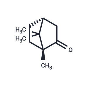 (+)-樟脑,(+)-Camphor