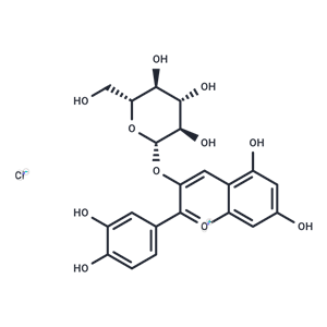 矢車菊素-3-O-葡萄糖苷,Kuromanin chloride