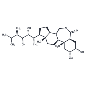 表油菜素內(nèi)酯|T5514|TargetMol