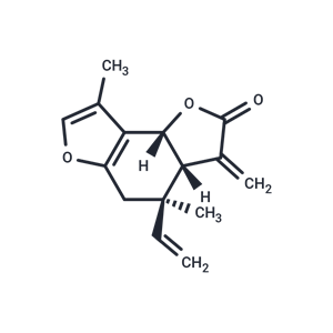 異烏藥內(nèi)酯,Isolinderalactone