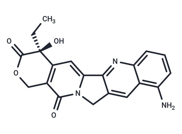 9-氨基喜樹堿,9-amino-CPT