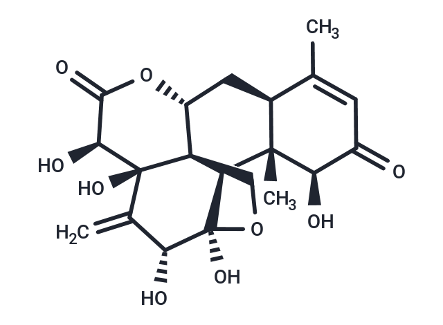 东革阿里提取物,EURYCOMANONE
