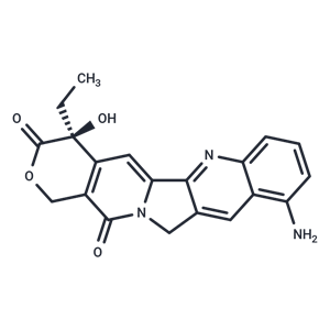 9-氨基喜樹堿,9-amino-CPT
