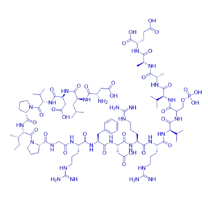 工具肽RII phosphopeptide,PKA Regulatory Subunit II Substrate