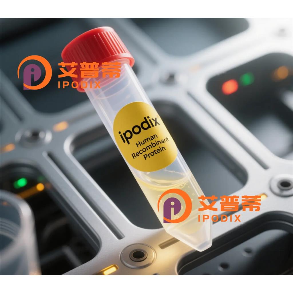 Phospho-JNK (Thr183/Tyr185)抗体,Rabbit Polyclonal Phospho-JNK(Thr183/Tyr185) Antibody