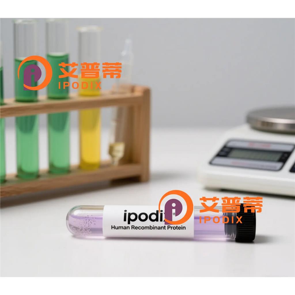 APPBP1抗体,Rabbit Monoclonal APPBP1 Antibody