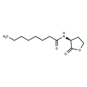 辛?；?L-高絲氨酸內酯,N-octanoyl-L-Homoserine lactone