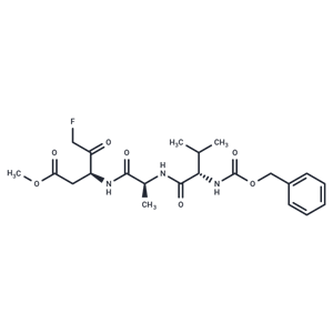 化合物 Z-VAD(OMe)-FMK|T6013