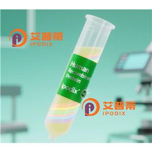 FDX1/ADX抗体;FDX1/ADX Antibody—艾普蒂