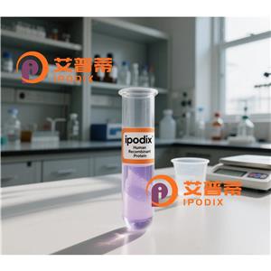 Phospho-GATA3 (Ser308)抗體;Phospho-GATA3 (Ser308) Antibody—艾普蒂