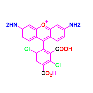 5-羧基-4,7-二氯罗丹明110,5dR110