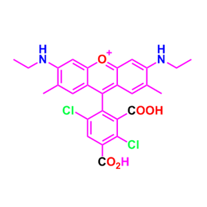 5dR6G，5-羧基-4,7-二氯羅丹明6G，5-dR6G,琥珀酰亞胺酯