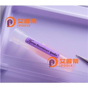 alpha Lactalbumin抗体;alpha Lactalbumin Antibody—艾普蒂